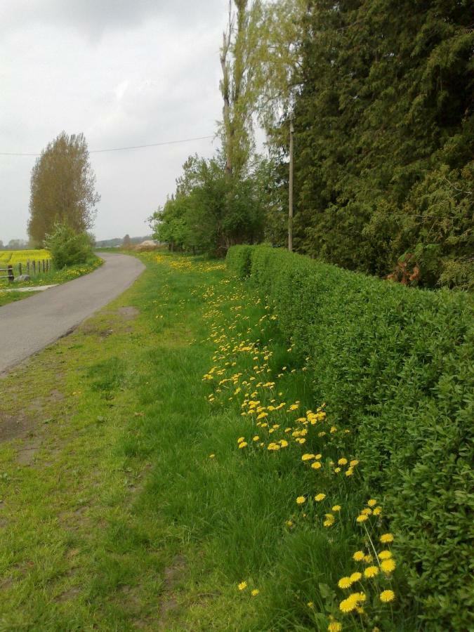 Apartments Zum Brauergang Garz  エクステリア 写真
