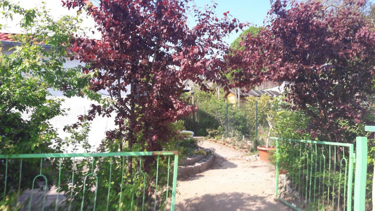 Apartments Zum Brauergang Garz  エクステリア 写真